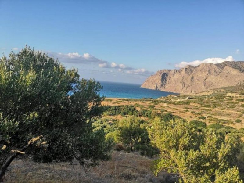 Mochlos Kreta, Mochlos: Baugrundstück mit Meerblick zu verkaufen Grundstück kaufen